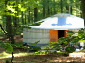 STF Nyrups Naturhotell in Höör